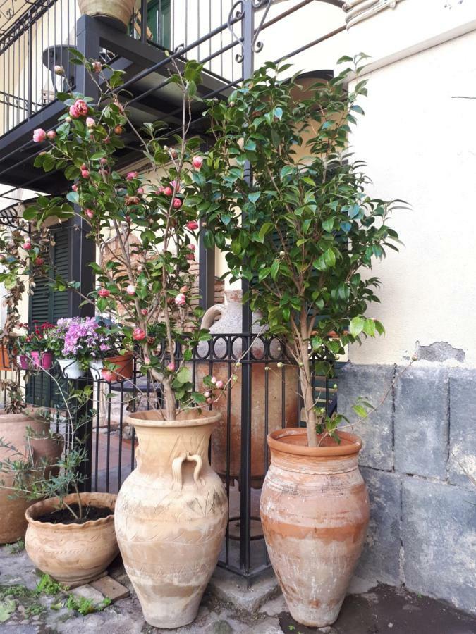Mamarico' Apartament Katania Zewnętrze zdjęcie